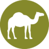 camel.png