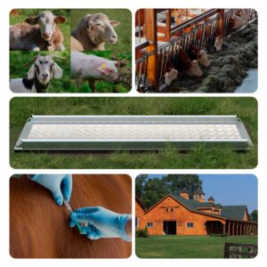 Aluminum Alleyway Livestock Scale