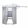 cattle crush with weighing system