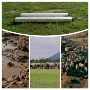 Livestock Scale kit
