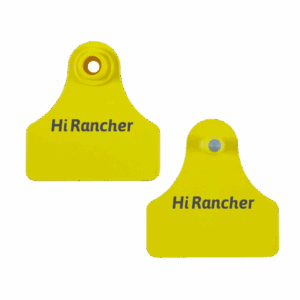 medium square animal tag