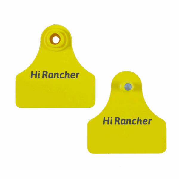 medium square animal tag