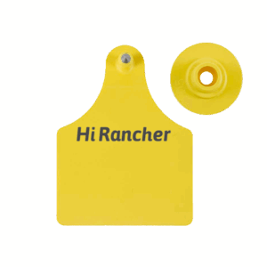 square livestock ear tag