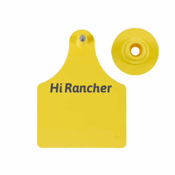 square livestock ear tag
