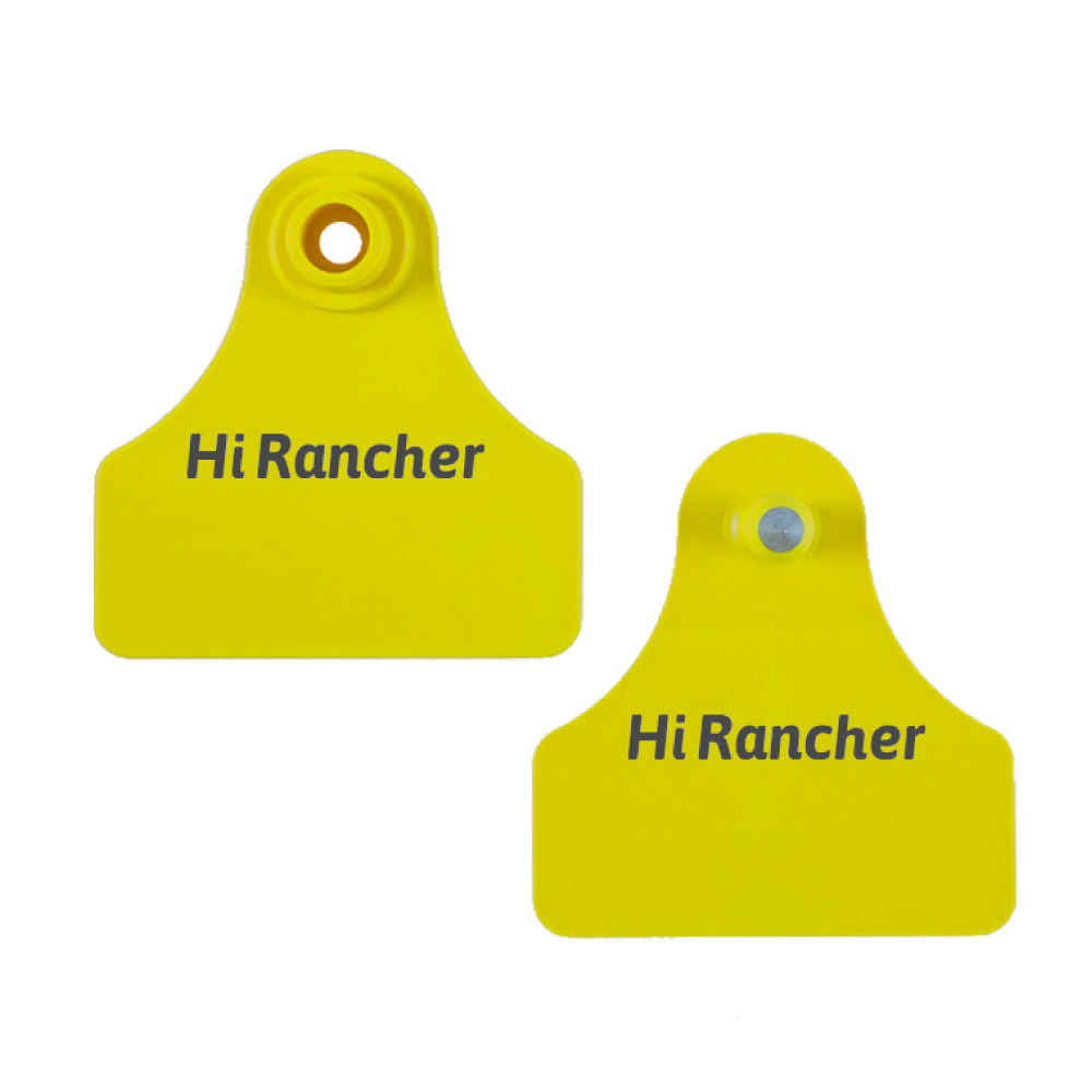 medium square animal tag