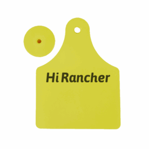 Visual Ear Tag
