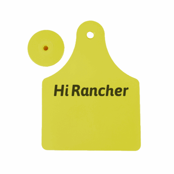 Visual Ear Tag