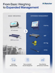 Livestock Weighing Systems