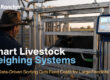 Weighing Management System for Feedlots